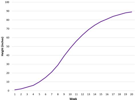 Semi log plot example 8