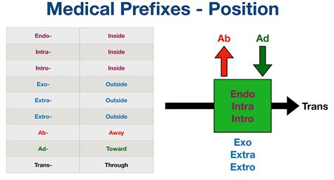 Semi prefix in medicine