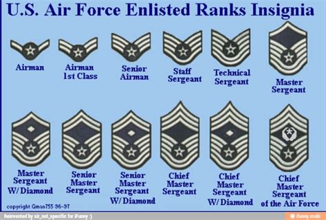 Senior Enlisted Rank Insignia