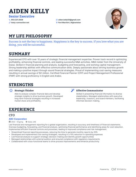 Senior Executive Resume Template