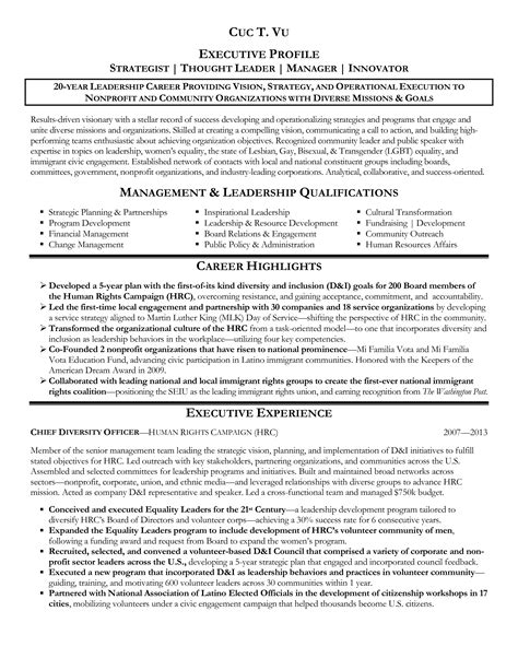 Senior Executive Resume Template