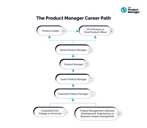 Senior Manager Career Path