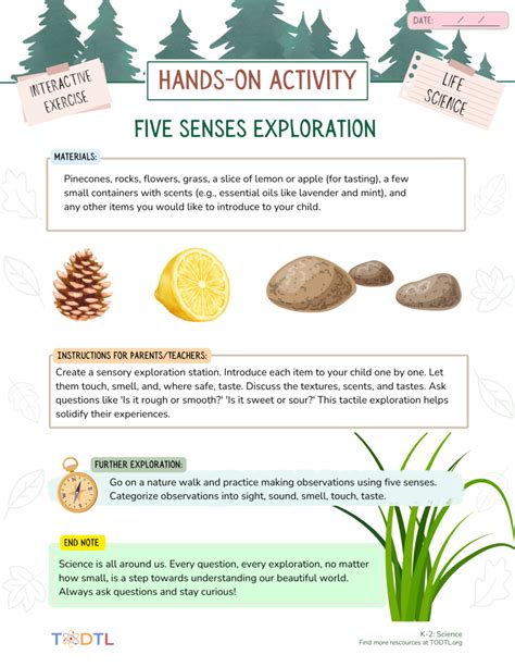 Illustration of the 5 senses