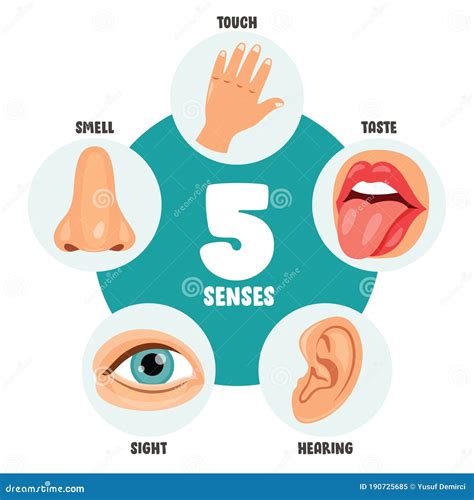 A colorful illustration of the five senses