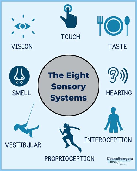 A picture of a child learning about the five senses