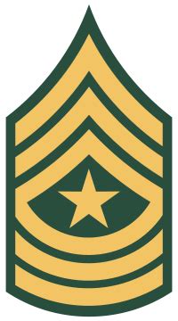 Sergeant Major (E-9)