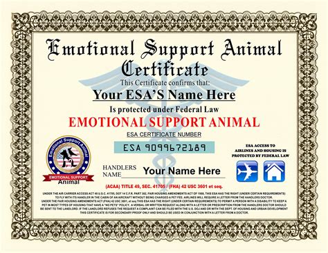 Service Animal Behavior Certificate