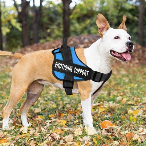 Service Animal Vest