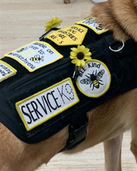 Service Dog Accessories