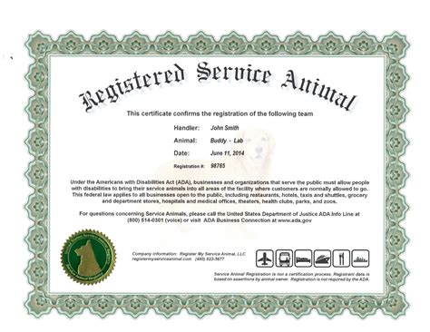 Service Dog Certification Form Template Example 7