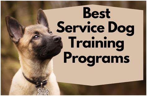 Service Dog Certification Program