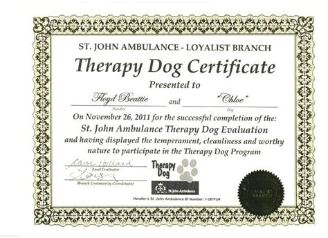 Service Dog Certification Template Example 4