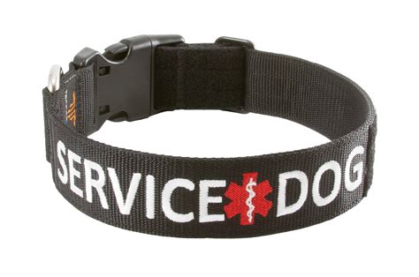 Service Dog Collars Image