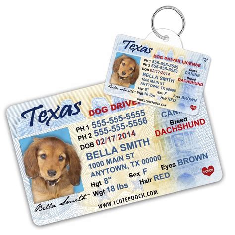 Service Dog ID Template Ideas