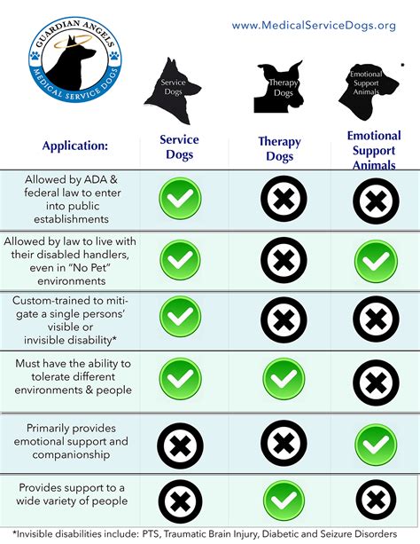 Service Dog Requirements