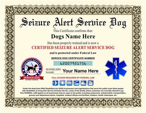 Service Dog Template 1