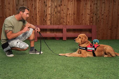 Service dog trainers with their dogs