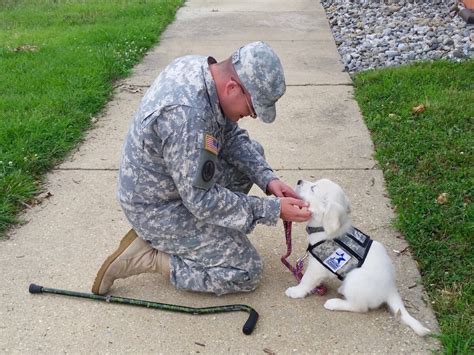 Service dog trainers working with veterans