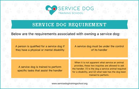 Service dog training requirements