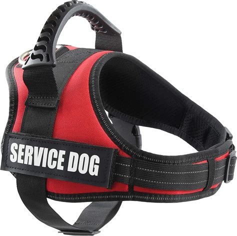 Service Dog Vests Image