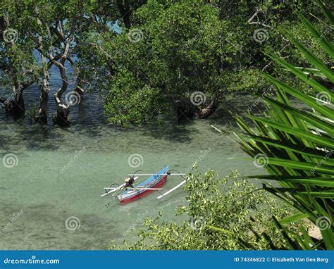 Shallow Water Boats for Mangroves