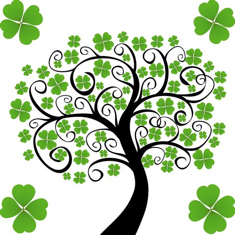 Shamrock Image 4