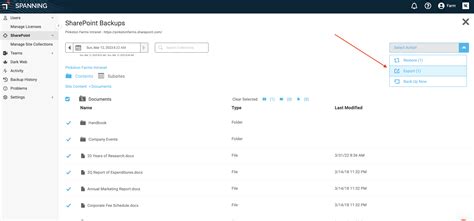 SharePoint Data Export Method 1