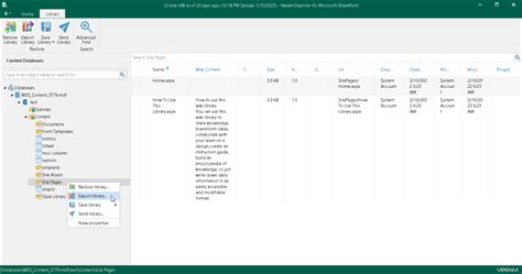 SharePoint Data Export Manual Method