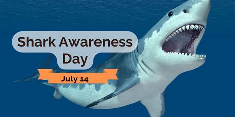 Raising awareness about shark attacks