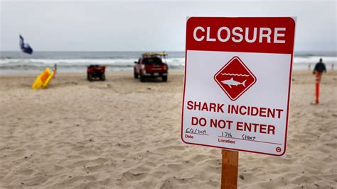 Beach closed due to shark attack