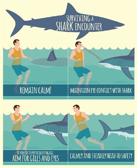 Measures to prevent shark attacks