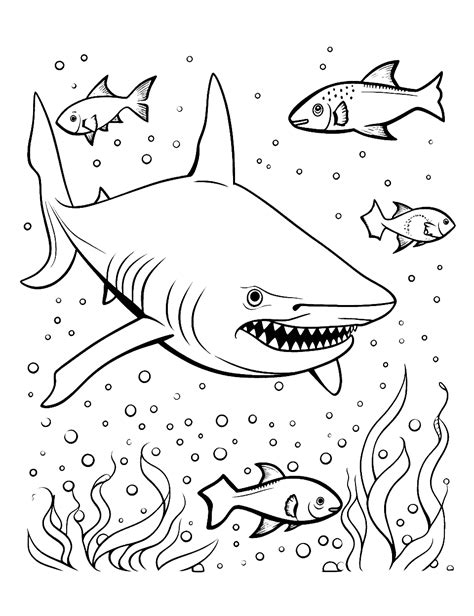 Shark Coloring Page 2