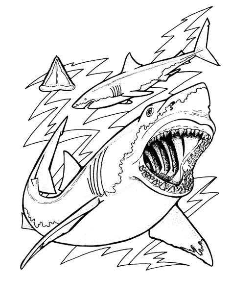 Shark Coloring Pages Printable