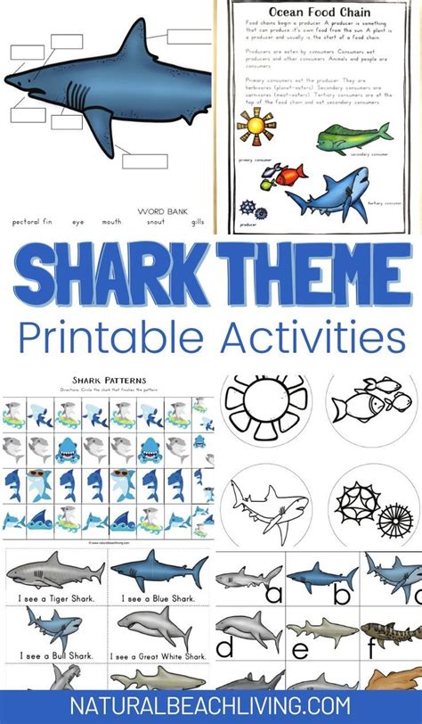 Shark printable activities