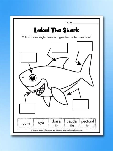 Shark printables for elementary