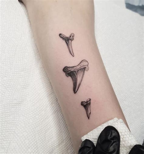 Shark Teeth Tattoo Designs