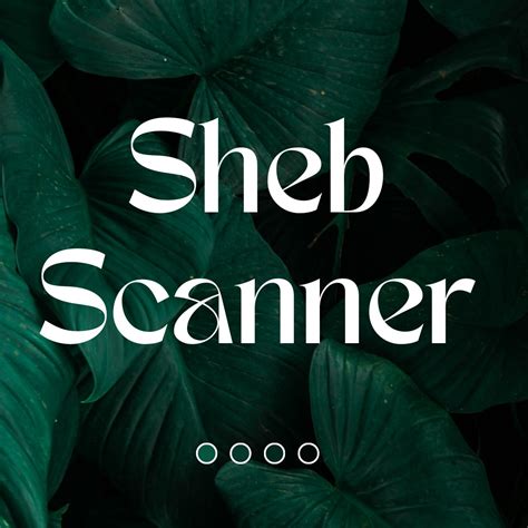 Sheb Scanner Editing