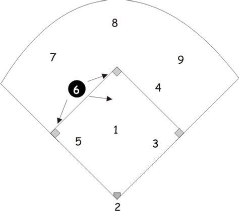 Shortstop Softball Position