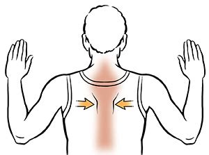 Shoulder blade squeezes for improved posture