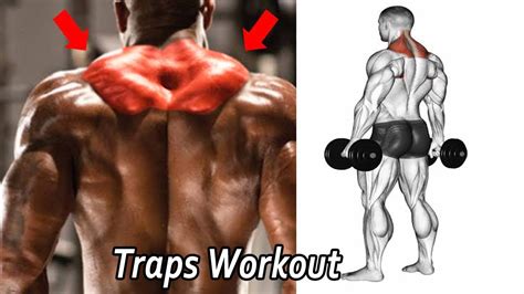 Shoulders and Traps Workout