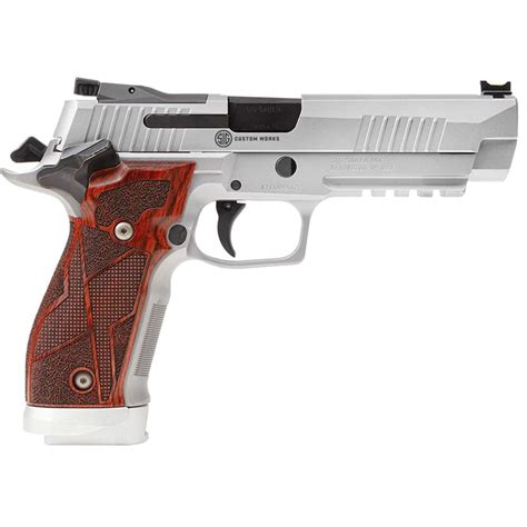 Sig Sauer P226 handgun for training and practice