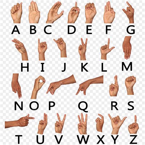 Sign language alphabet letter H