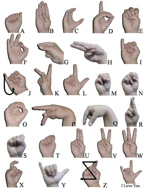 Sign Language Common Signs