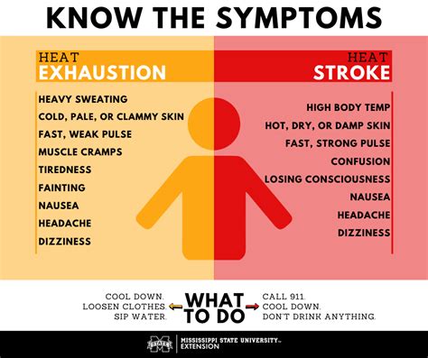 Recognizing the signs of heat-related illnesses is crucial to preventing serious health complications