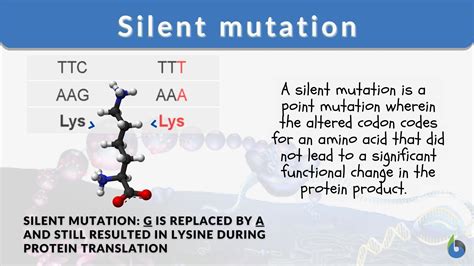 Silent Mutation