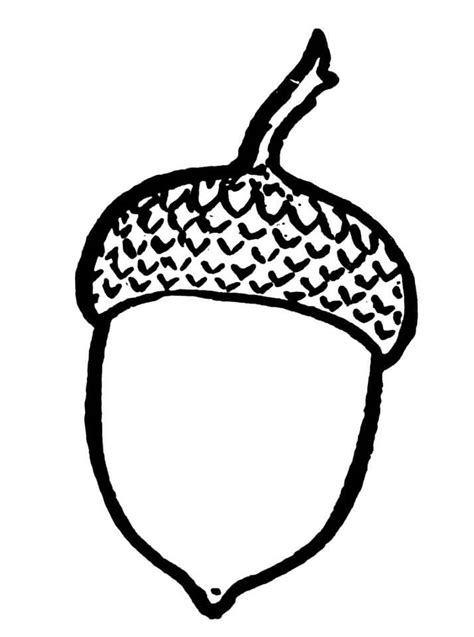 Simple acorn design coloring page