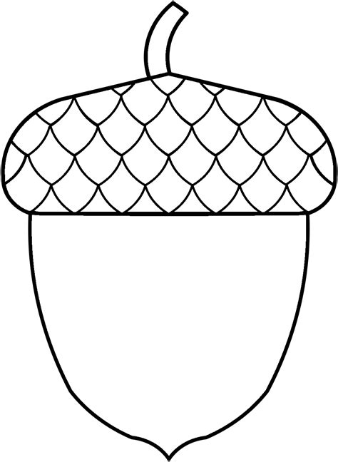 Simple Acorn Template