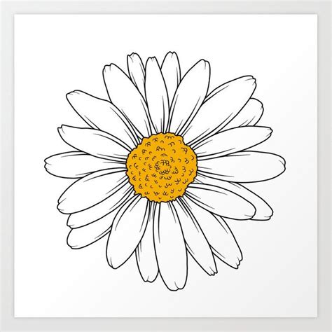 Simple daisies