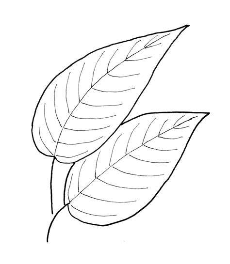 Simple Leaf Pattern