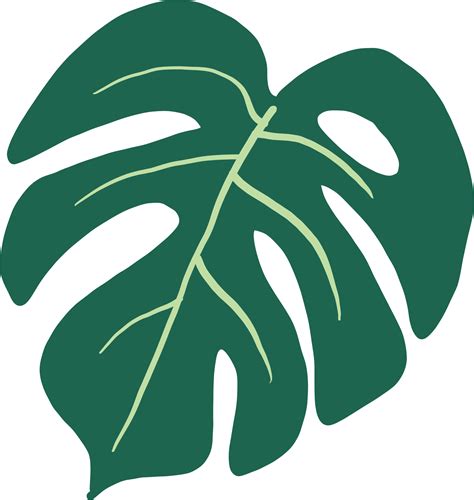 Simple Monstera Leaf Outline for Various Projects